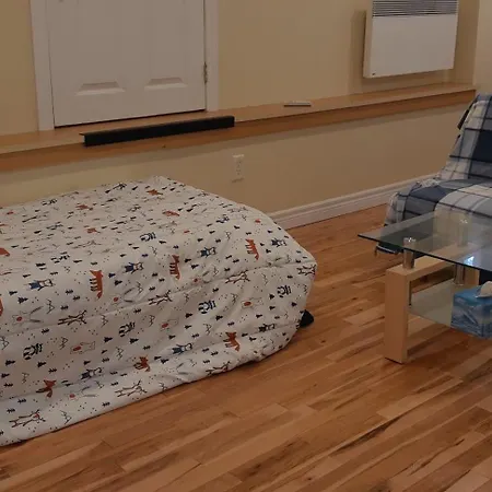 Comfy Stay - Close To Everything-2